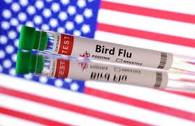 US Announces $306 Million in New Bird Flu Funding